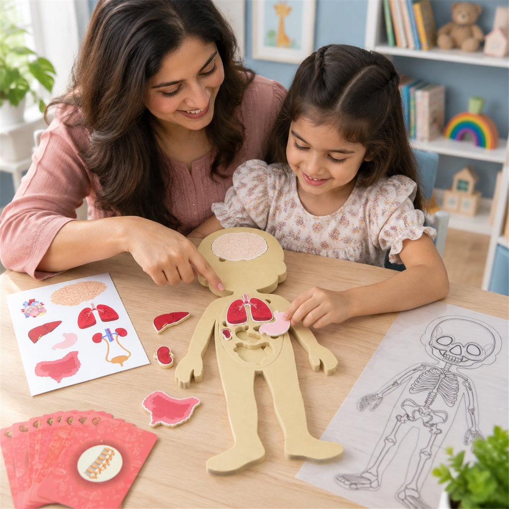 Educational Human Body Anatomy Puzzle With Organ Pieces And Learning C ...